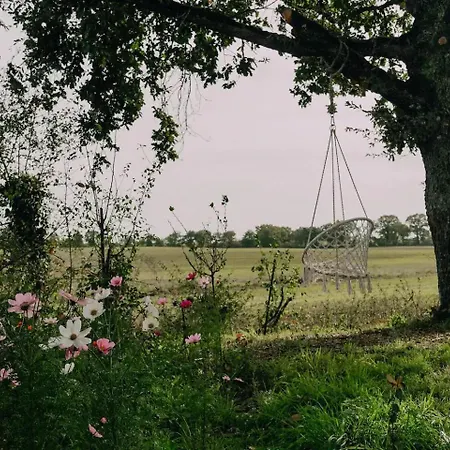 1 Bed Tiny House Sleeps 2 -hot Tub -coal Fireplace Liglet