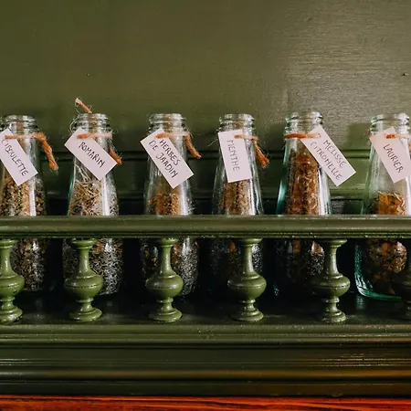 בית נופש 1 Bed Tiny House Sleeps 2 -hot Tub -coal Fireplace *