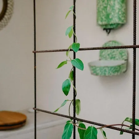 בית נופש 1 Bed Tiny House Sleeps 2 -hot Tub -coal Fireplace *