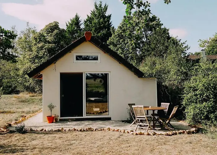 Сasa de vacaciones 1 Bed Tiny House Sleeps 2 -hot Tub -coal Fireplace *