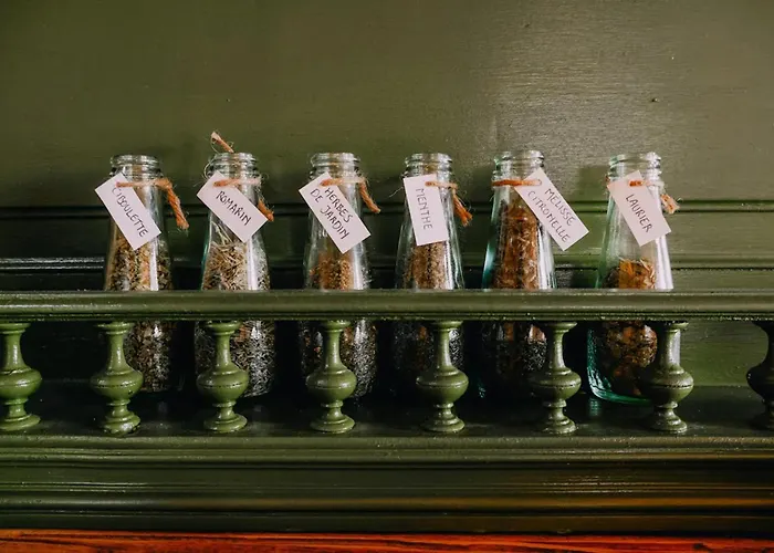 Сasa de vacaciones 1 Bed Tiny House Sleeps 2 -hot Tub -coal Fireplace *