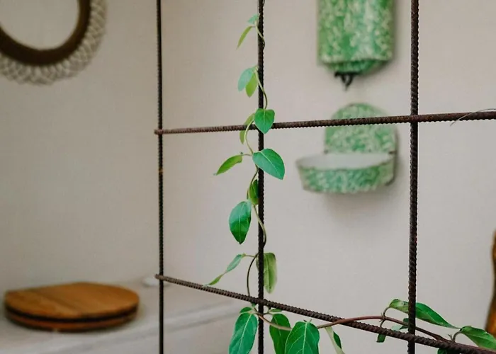 Сasa de vacaciones 1 Bed Tiny House Sleeps 2 -hot Tub -coal Fireplace *